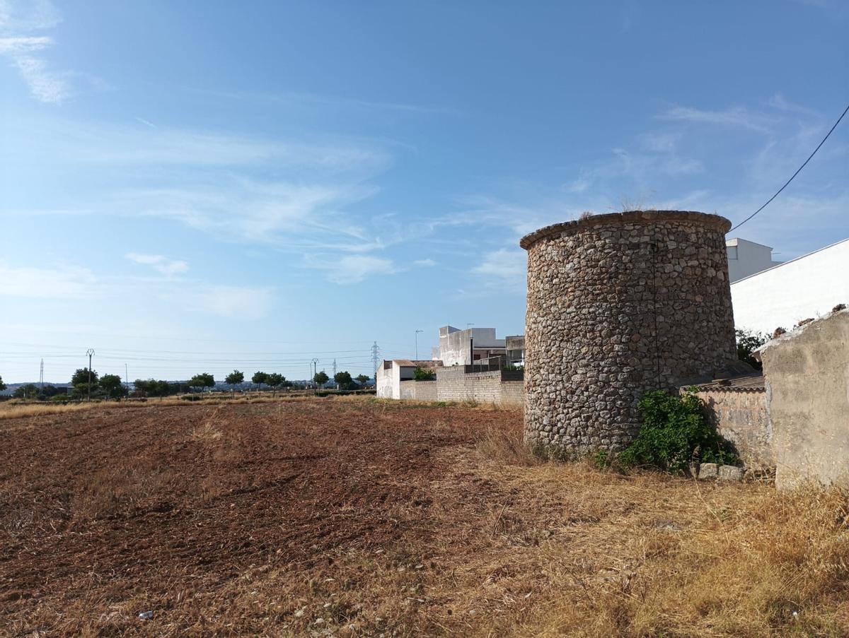 Paraje de sa Pobla donde apareció el jueves el cadáver de un hombre.