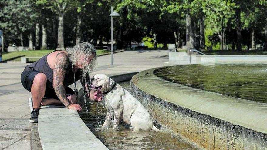Un hombre se refresca junto a su perro en la fuente de la Marina.