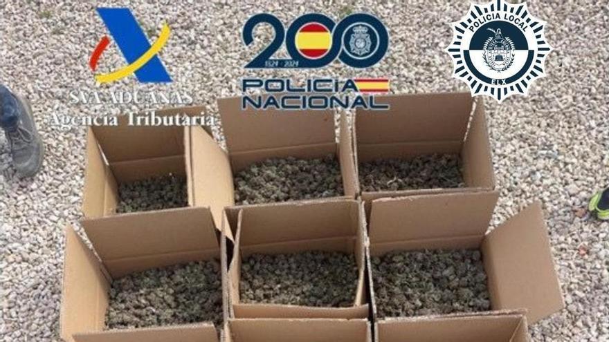 rada destapa un cultivo de marihuana en un chalet de Elche y 126 kilos de cogollos