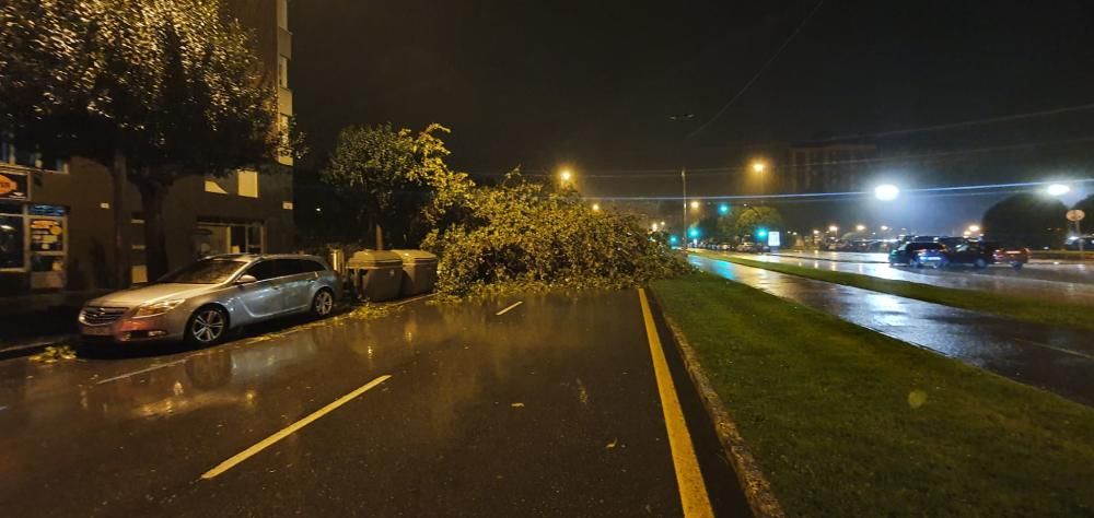 Daños por el temporal en Gijón.