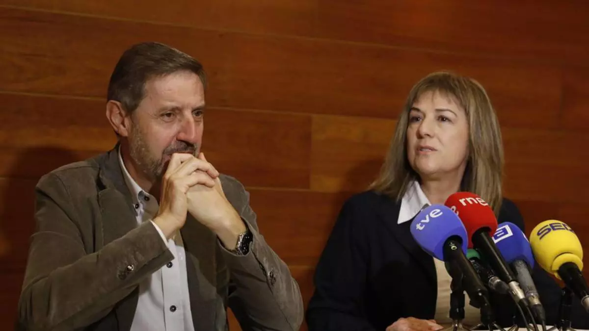 El PSOE pide al equipo de gobierno que estudie alternativas a la presencia de animales en la Cabalgata de Reyes Magos de Oviedo