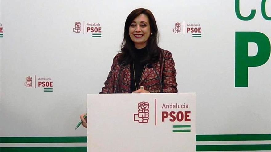 El PSOE exige a la Junta que ejecute la partida del 2019 para entidades locales autónomas