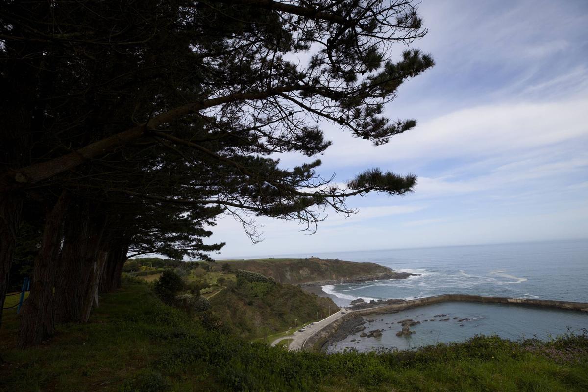 EN IMÁGENES: Así es el bosque-jardín de Luarca EN IMÁGENES: Así es el bosque-jardín de Luarca