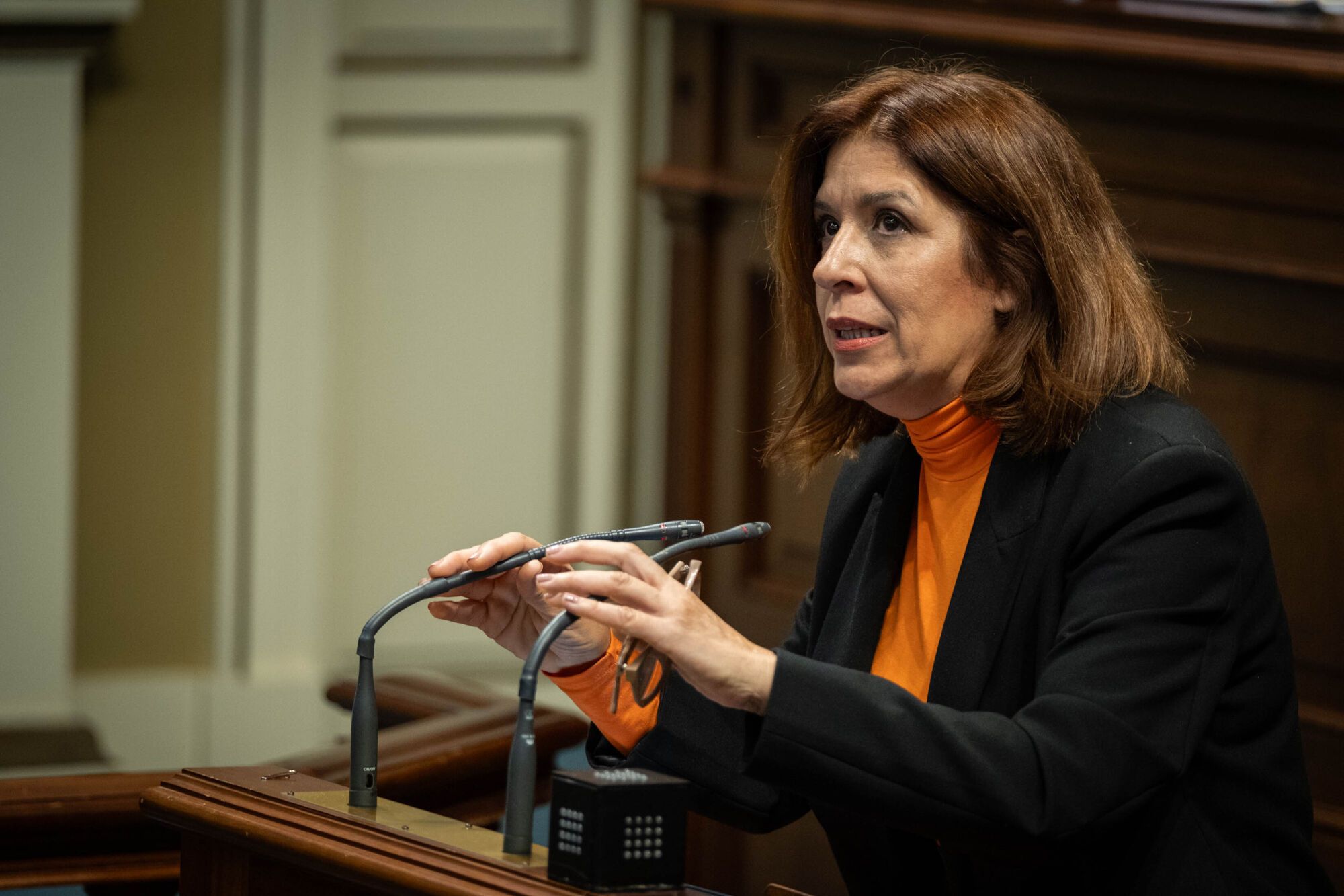 Pleno del Parlamento de Canarias  (26/03/2025)