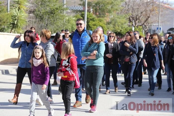 Romería de La Hoya (I)