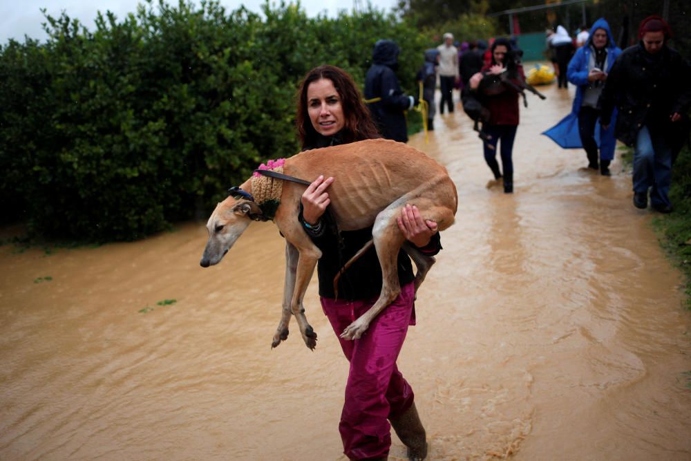 Inundacions a Màlaga