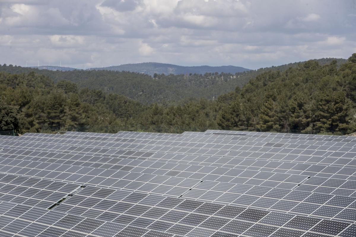 Paneles solares de un parque fotovoltaico.