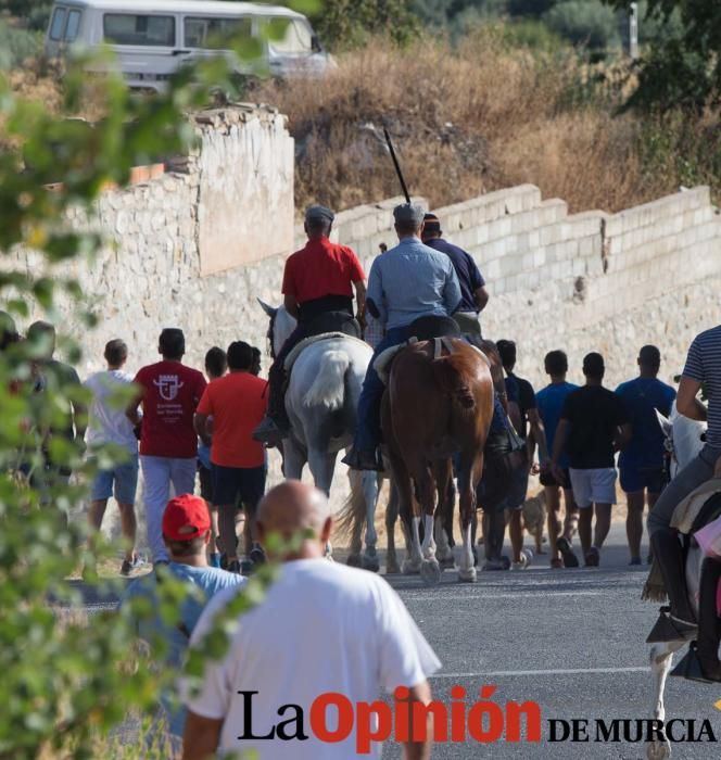 Vereda en Moratalla