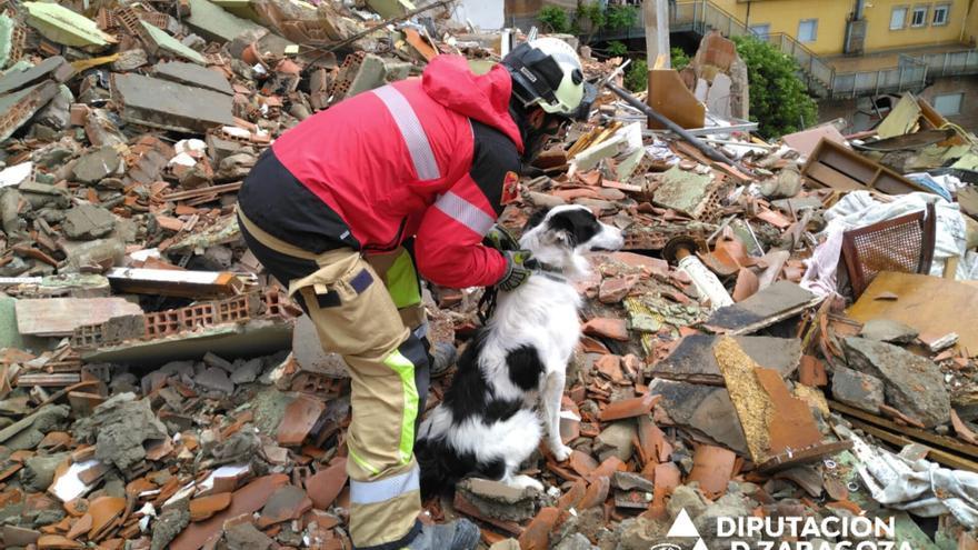 La unidad canina de los bomberos de la DPZ busca posibles víctimas en el derrumbe de Teruel