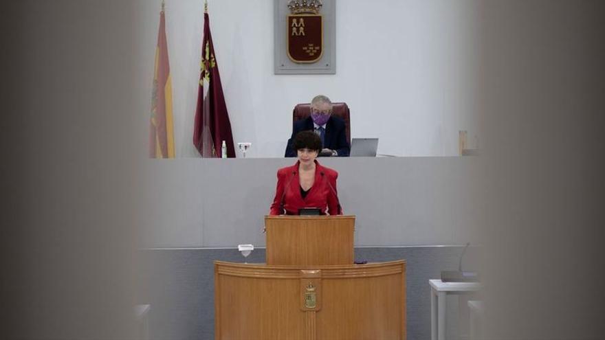 Lara Hernández, del Grupo Parlamentario Socialista.