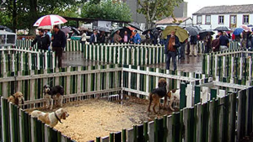 Comer en Casa Nene Comer en Casa Nene