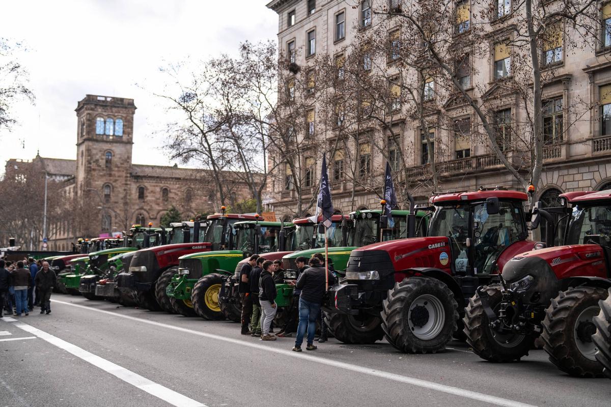 Tractorada en el centro de Barcelona, este viernes.