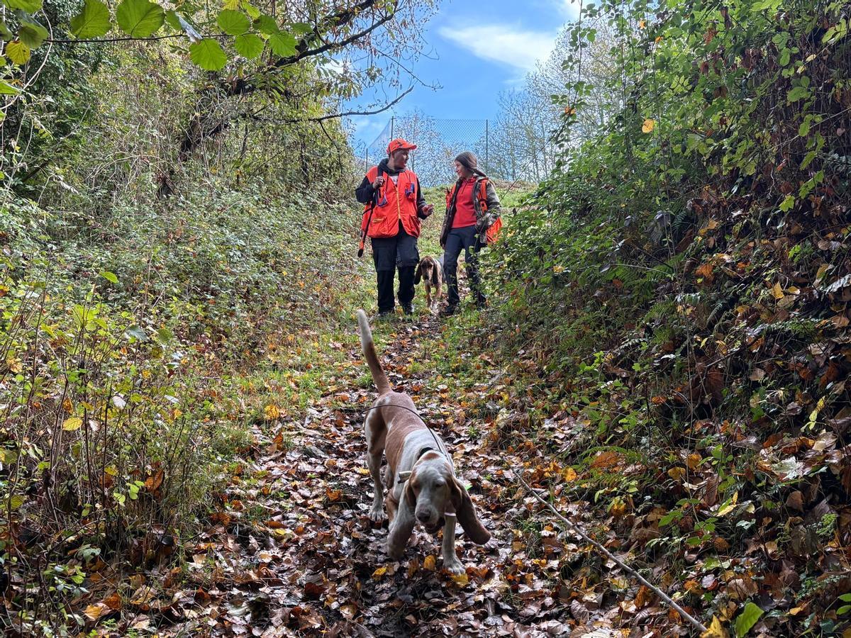 Marcial Fernández y Aida Fernandez durante una jornada de caza con sus perros "Pirlo" y "Ramiro".