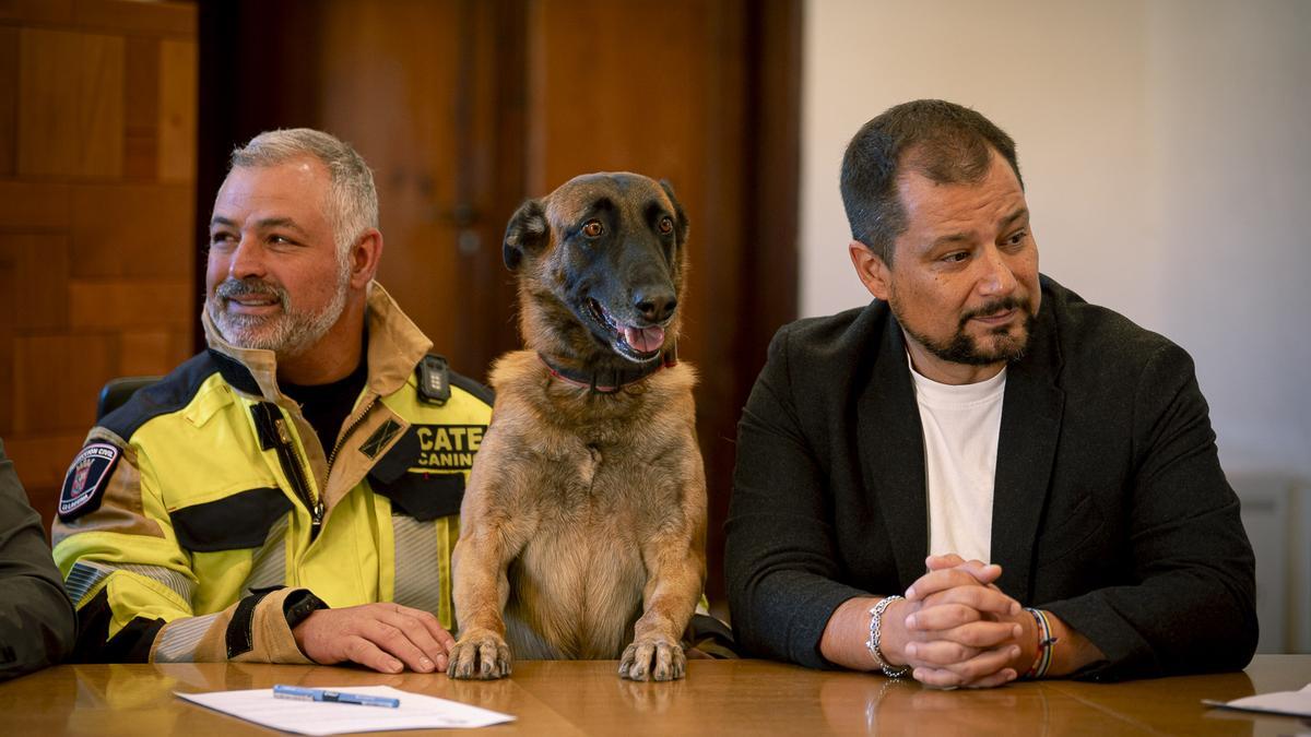 En la imagen, una de las perras que servirán al Ayuntamiento en caso de emergencia.
