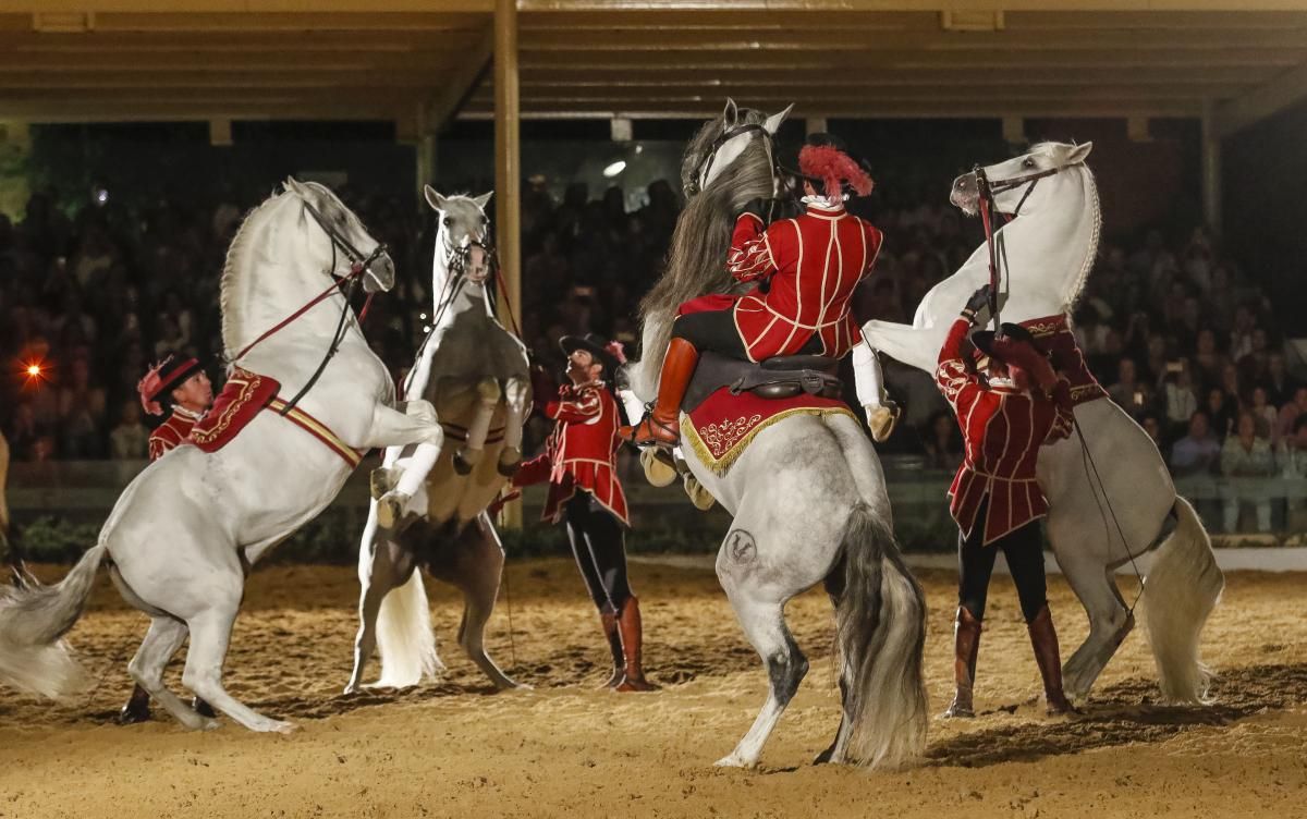 Calbalcor abre sus puertas