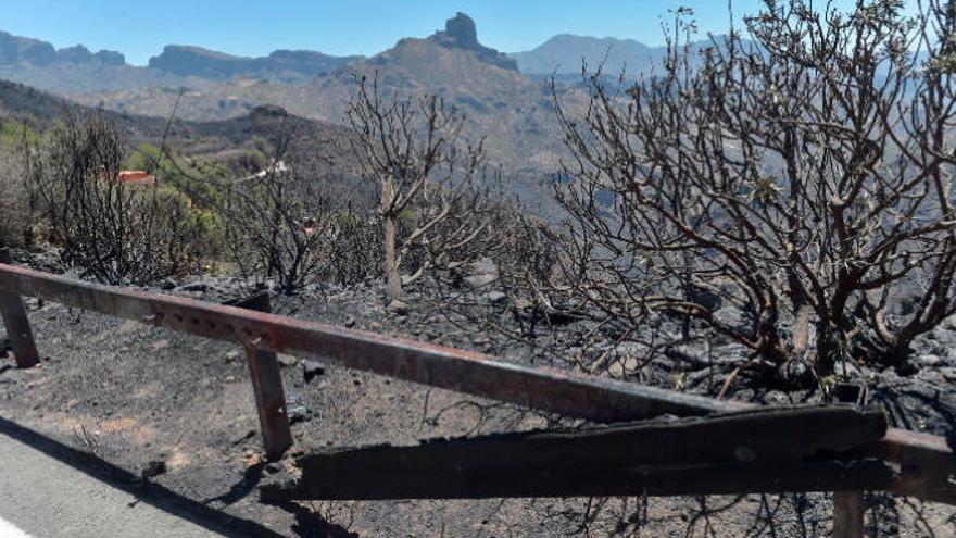 Vegetación e infraestructuras quemadas por el incendio en la carretera que enlaza los pueblos de Artenara y Tejeda, ayer.