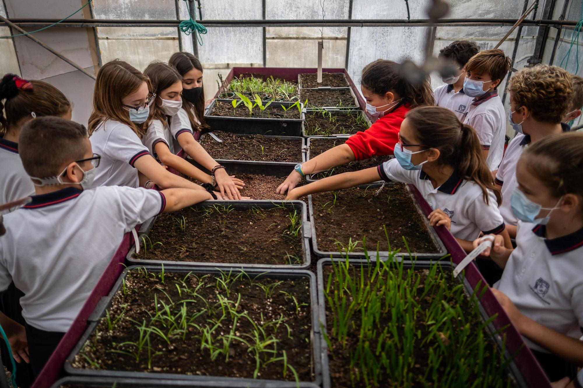 Visita a la fábrica de los jardines