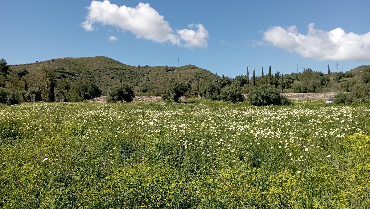 Otra vista del solar delante de La Virreina, con el parque periurbano al fondo.