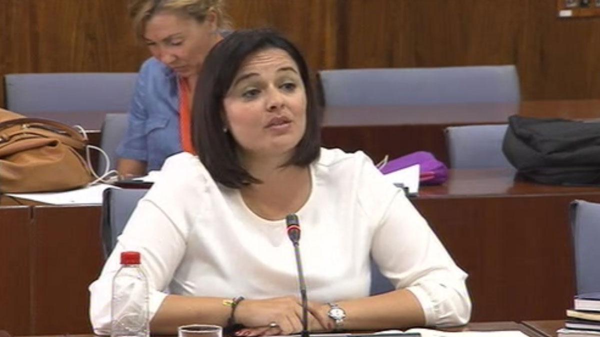 Una diputada del Parlamento andaluz utiliza el catalán en la cámara.