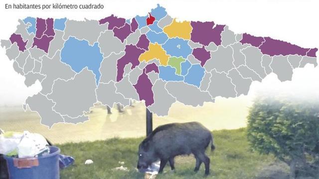 El abandono rural empuja hacia las urbes a la fauna salvaje, avisan los expertos