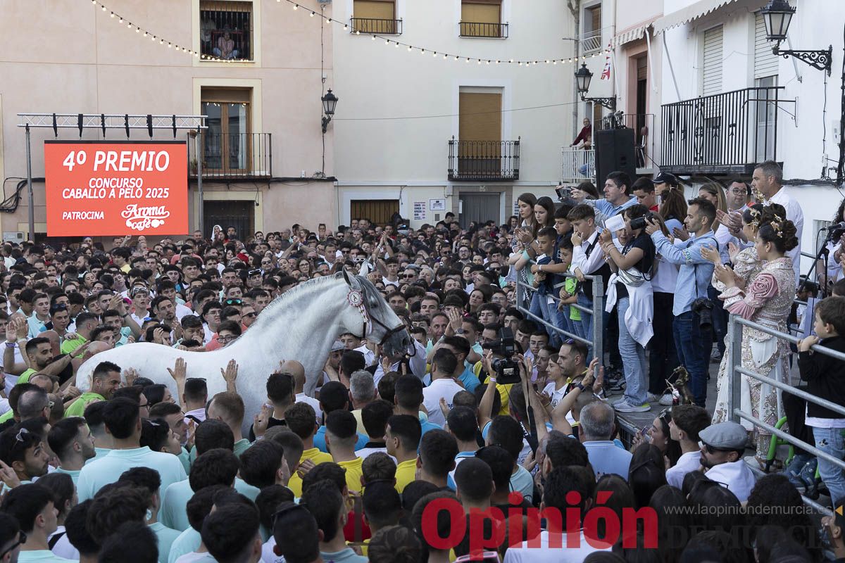 Fiestas de Caravaca | Entrega de premios del concurso morfológico