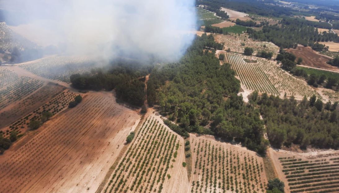 Declarado un incendio en Requena entre las aldeas de Los Pedrones y Casas del Río