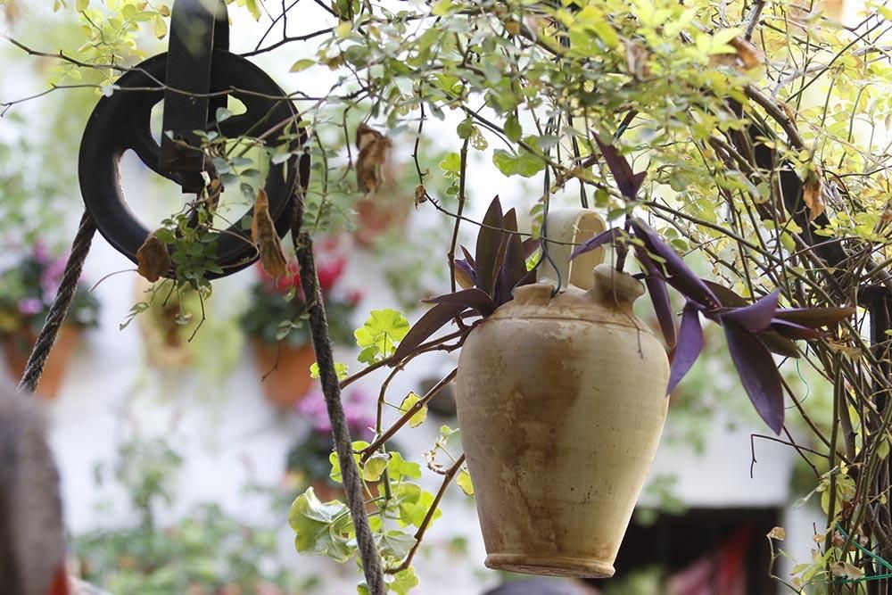 Los Patios más seguros se preparan para abrir este jueves