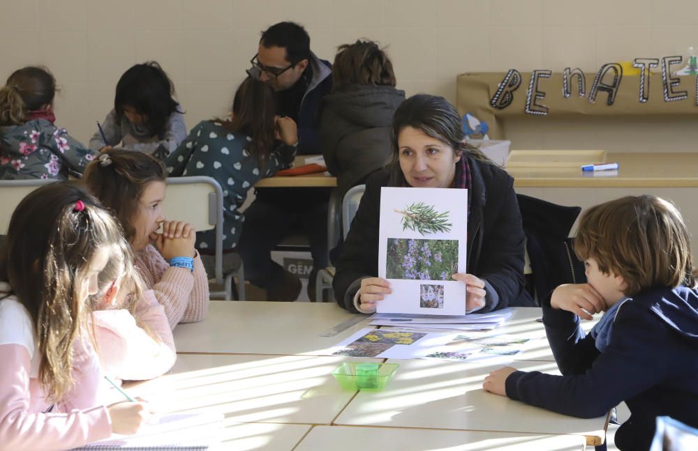 El CRA incorpora al seu projecte educatiu diverses metodologies reconegudes per la comunitat cientifica