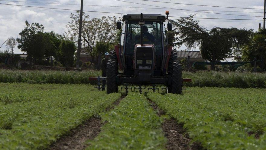 COAG pede para parar o 