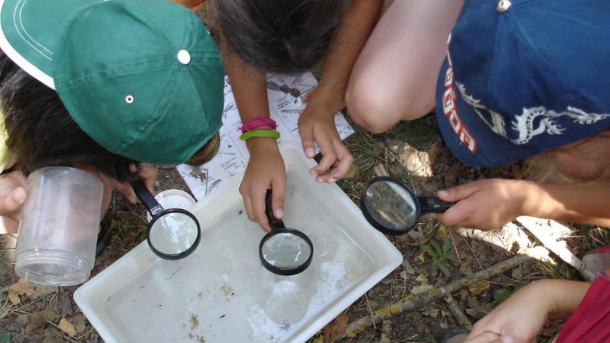 Una activitat de colònies d&#039;estiu, en una imatge d&#039;arxiu.