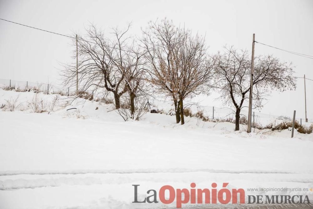 Temporal en el Noroeste (pedanías de El Moral y El