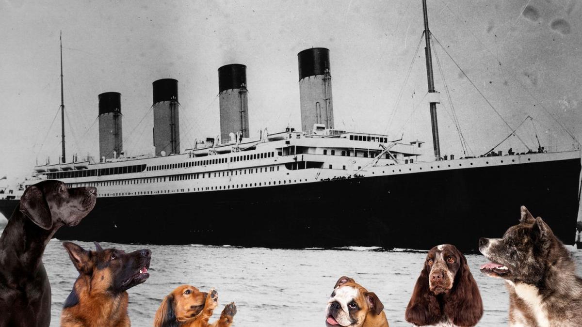 Perros del Titanic: los pasajeros olvidados por la historia