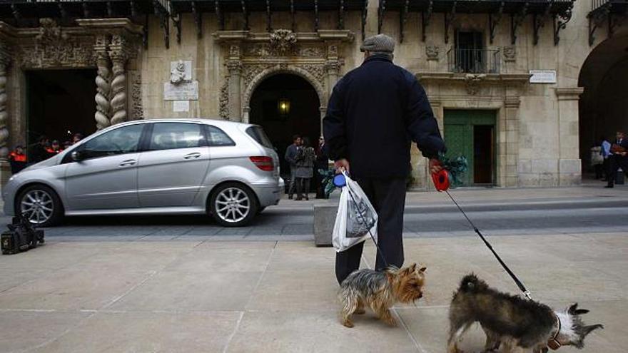 Un hombre pasea con sus mascotas por la plaza del Ayuntamiento mientras un coche pasa por la calle, reabierta ayer a la circulación de forma provisional