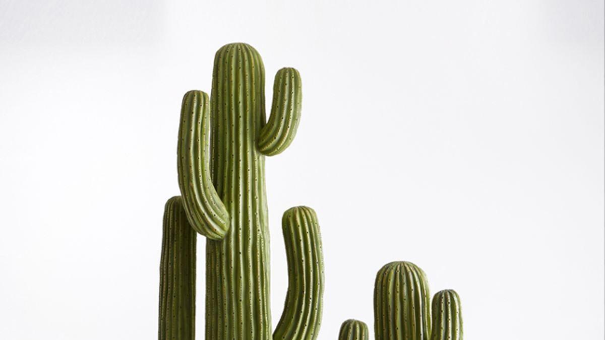 Cactus de cerámica de la colección 'Quevedo' de La Redoute