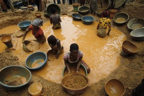 Prospectors pan for gold at a new gold mine found in a cocoa farm near the town of Bouafle in western Ivory Coast