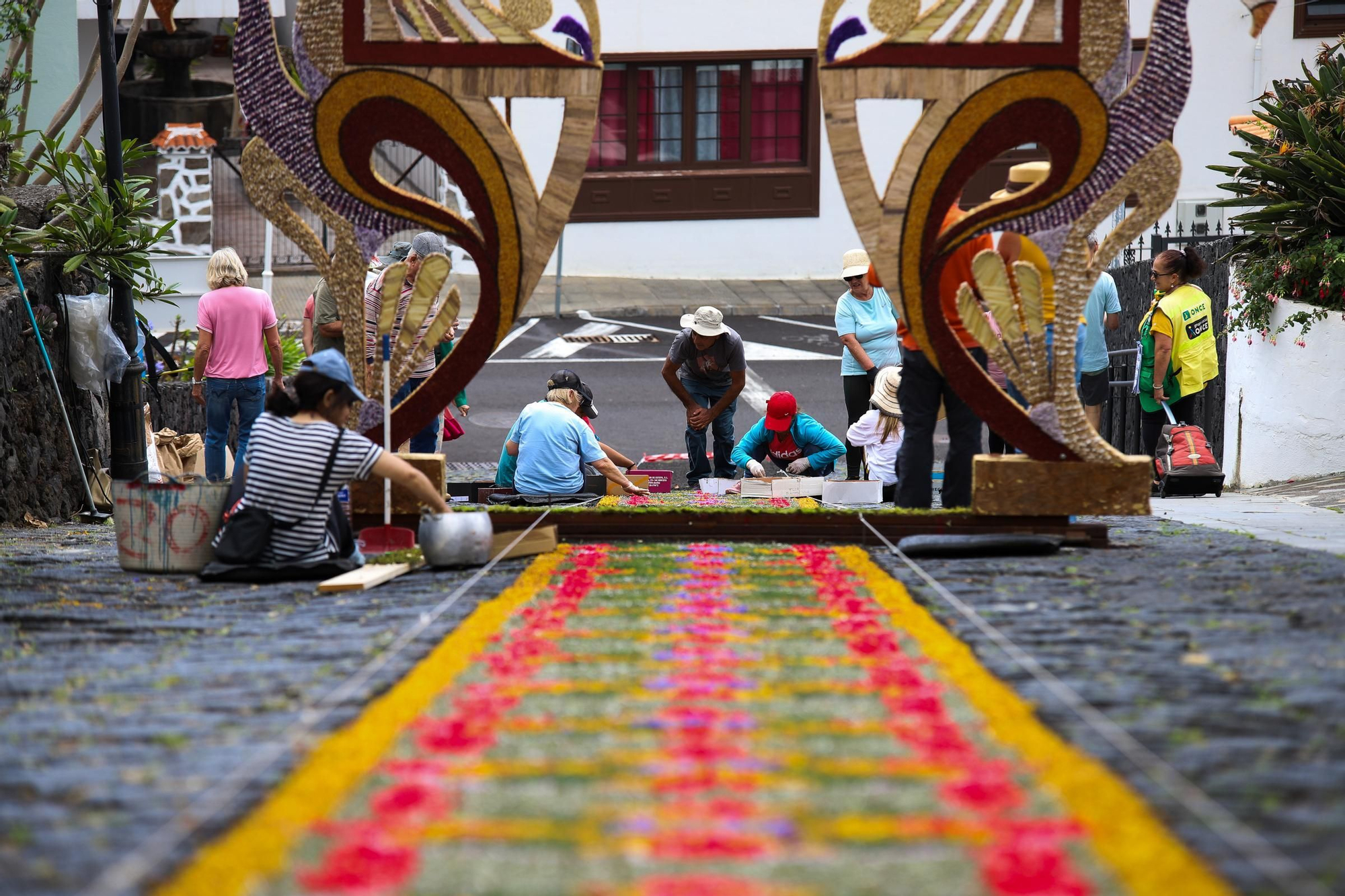 Villa de Mazo prepara las alfombras para la celebración del Corpus Christi