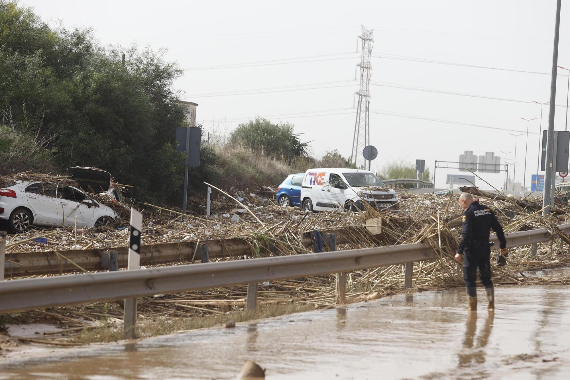 WhatsApp Image 2024-10-30 at 14.17.12.jpeg