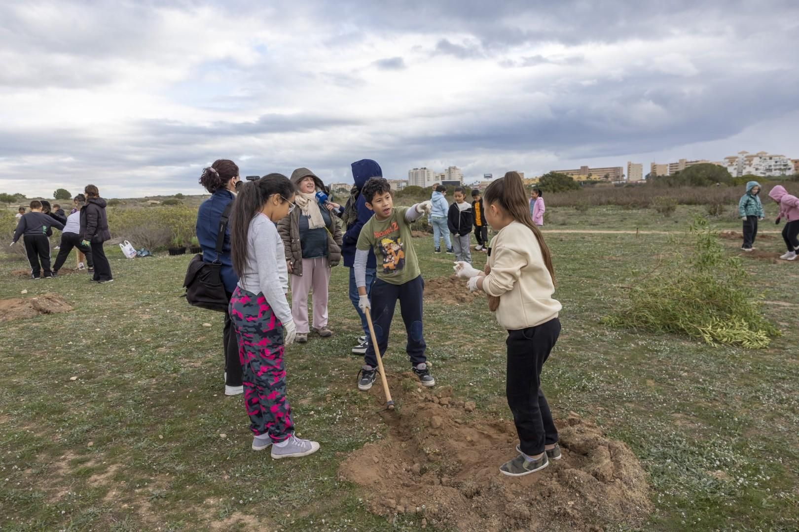 Jornada escolar plantación de especies autóctonas junto al parque natural de las lagunas de Torrevieja y La Mata
