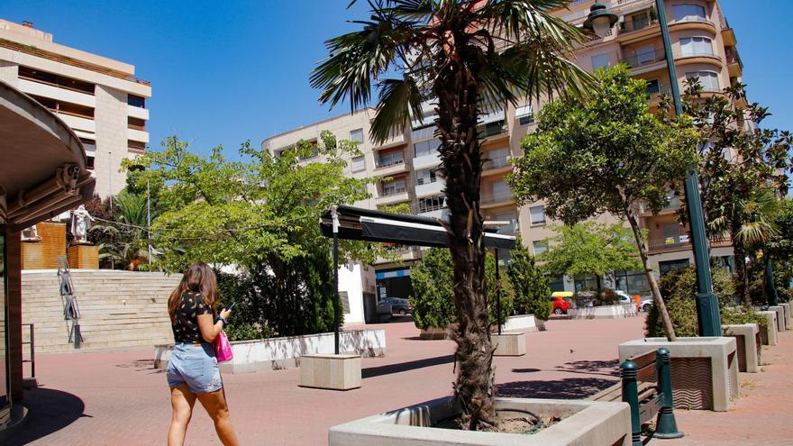 Un paso más para recuperar La Rosaleda en Alcoy