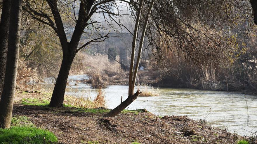 A sota del parc de la Carpa del Riu ja no hi ha les canyes que impedien veure el Cardener