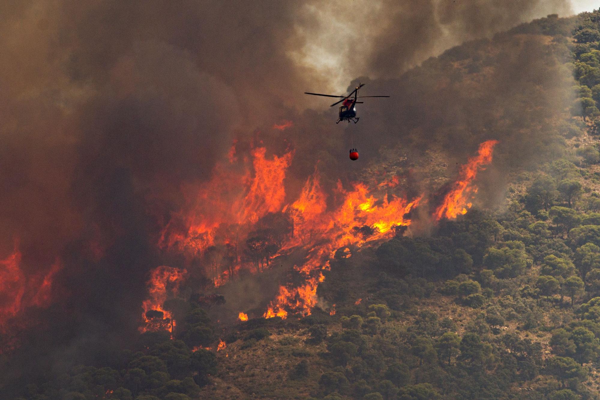 Declarado un incendio en la Sierra de Mijas