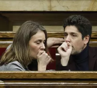 Els Comuns insisteixen al Govern a modificar la llei d’urbanisme