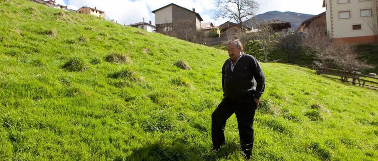 Abelardo Miguel, junto a la oveja que encontró muerta ayer en una de sus fincas.