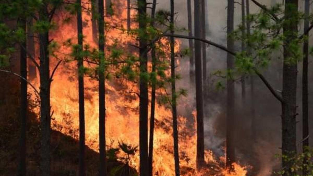 Incendio forestal en China deja al menos 30 muertos