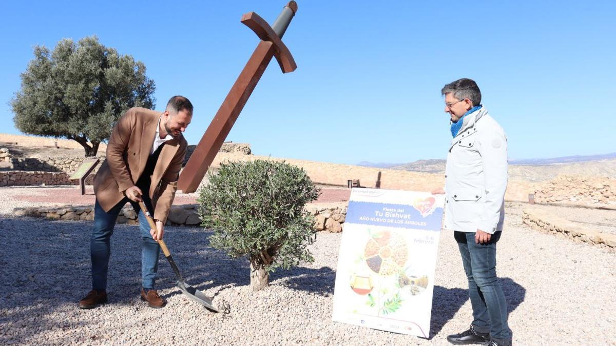 Francisco Morales y Luis Antonio Torres, sembraban un olivo en el Castillo, este viernes.
