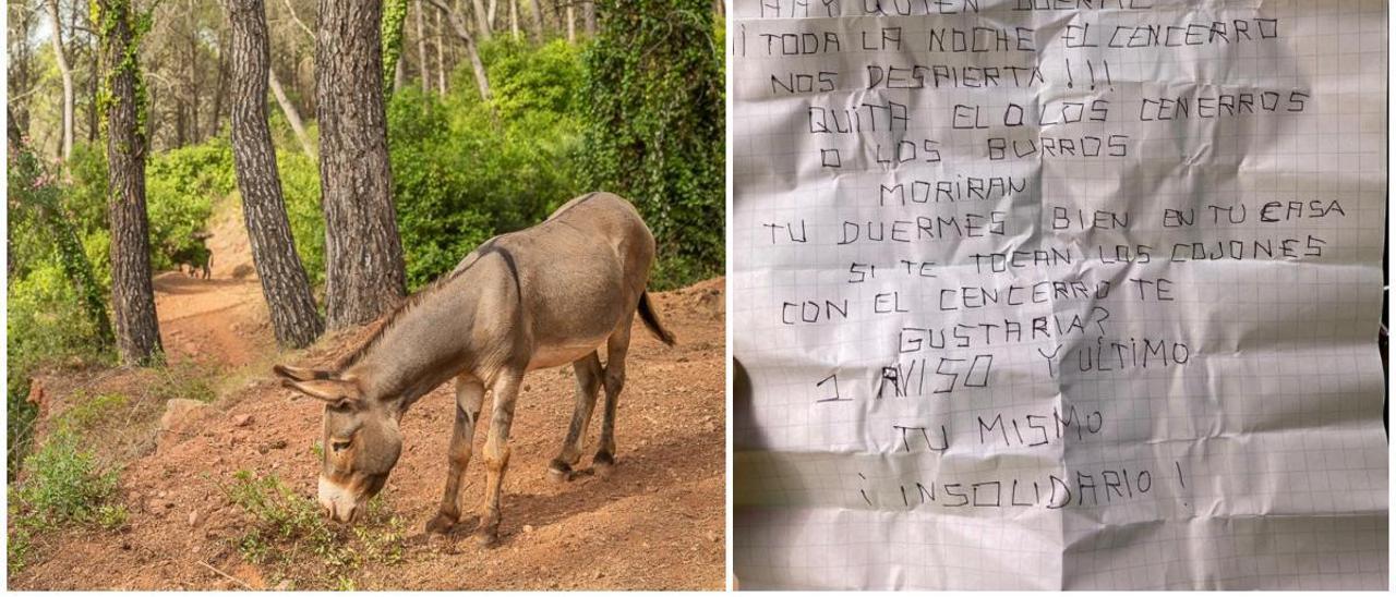 Un dueño de burros del Desert recibió un anónimo que amenazaba de muerte a sus animales