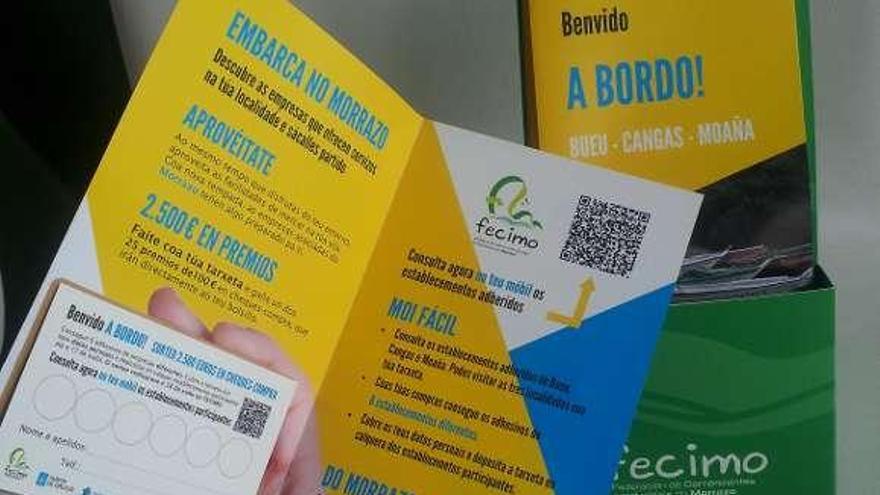 Tarjetas y folletos informativos de la campaña de Fecimo.