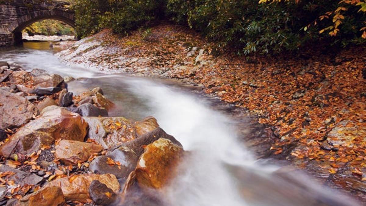 Great Smoky Mountains (EE UU)