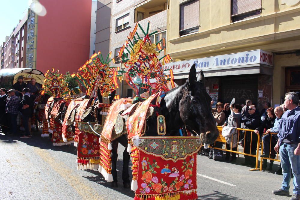 Bendición de animales por Sant Antoni del Porquet