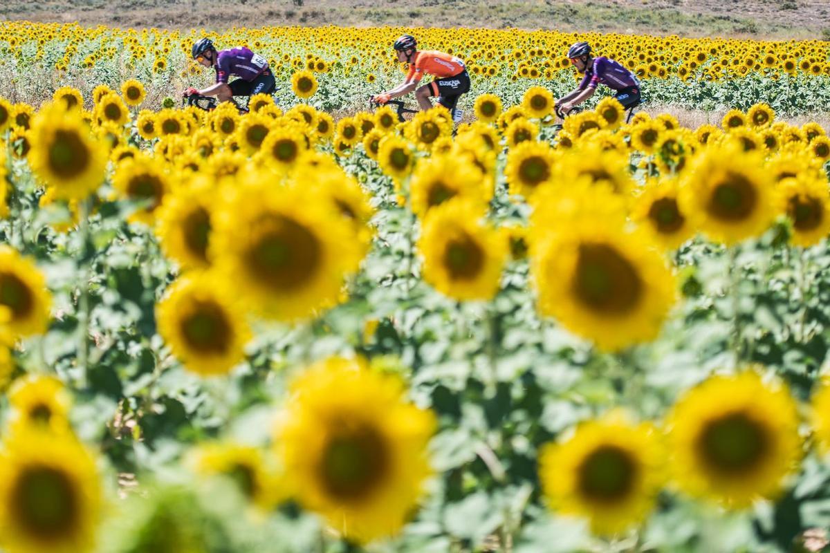 Aquella Vuelta de 1991 El Periódico